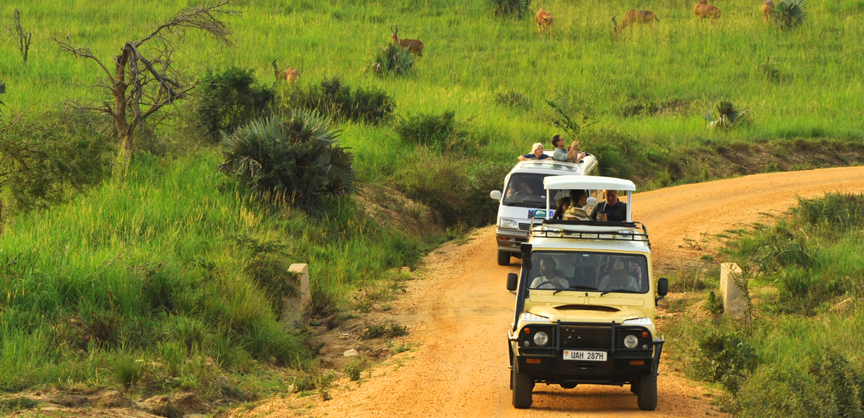 Game drive in Queen Elizabeth National Park in Uganda. Credit: Uganda Wildlife Authority
