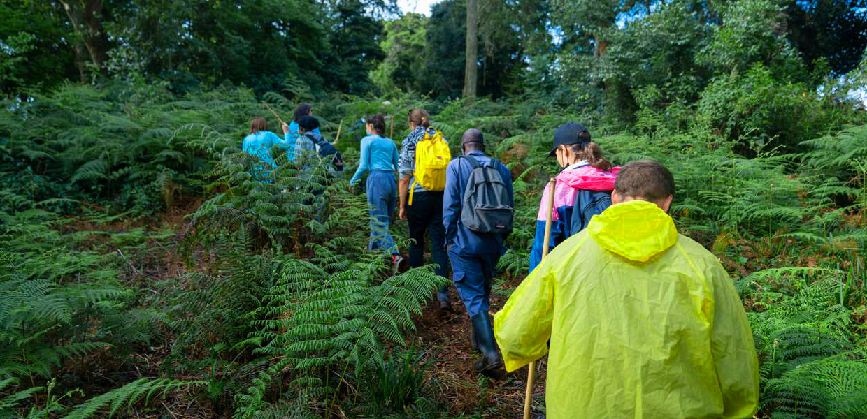 Guided Nature Walk Safaris