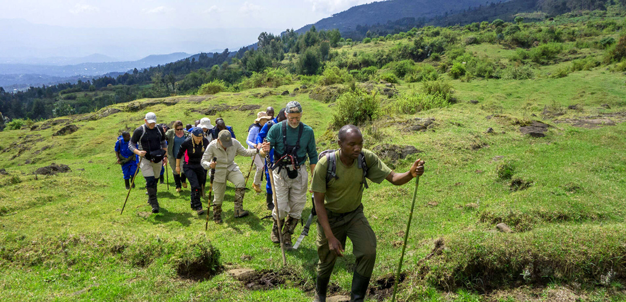 Hiking Bisoke Mountain In Rwanda