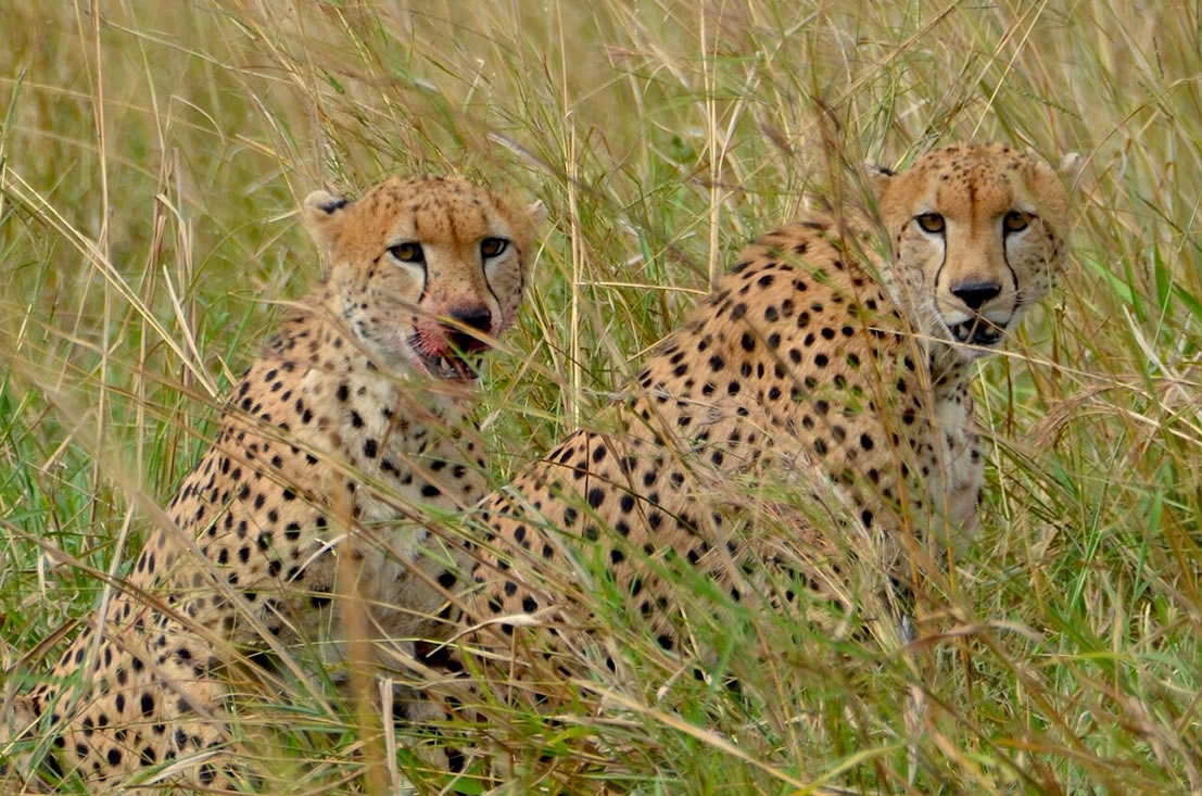 KIDEPO VALLEY NATIONAL PARK.