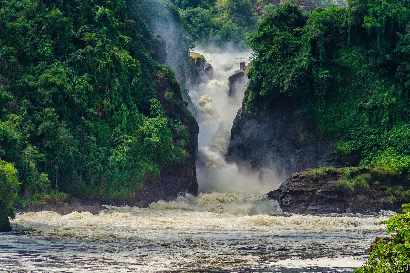 MURCHISON FALLS NATIONAL PARK.