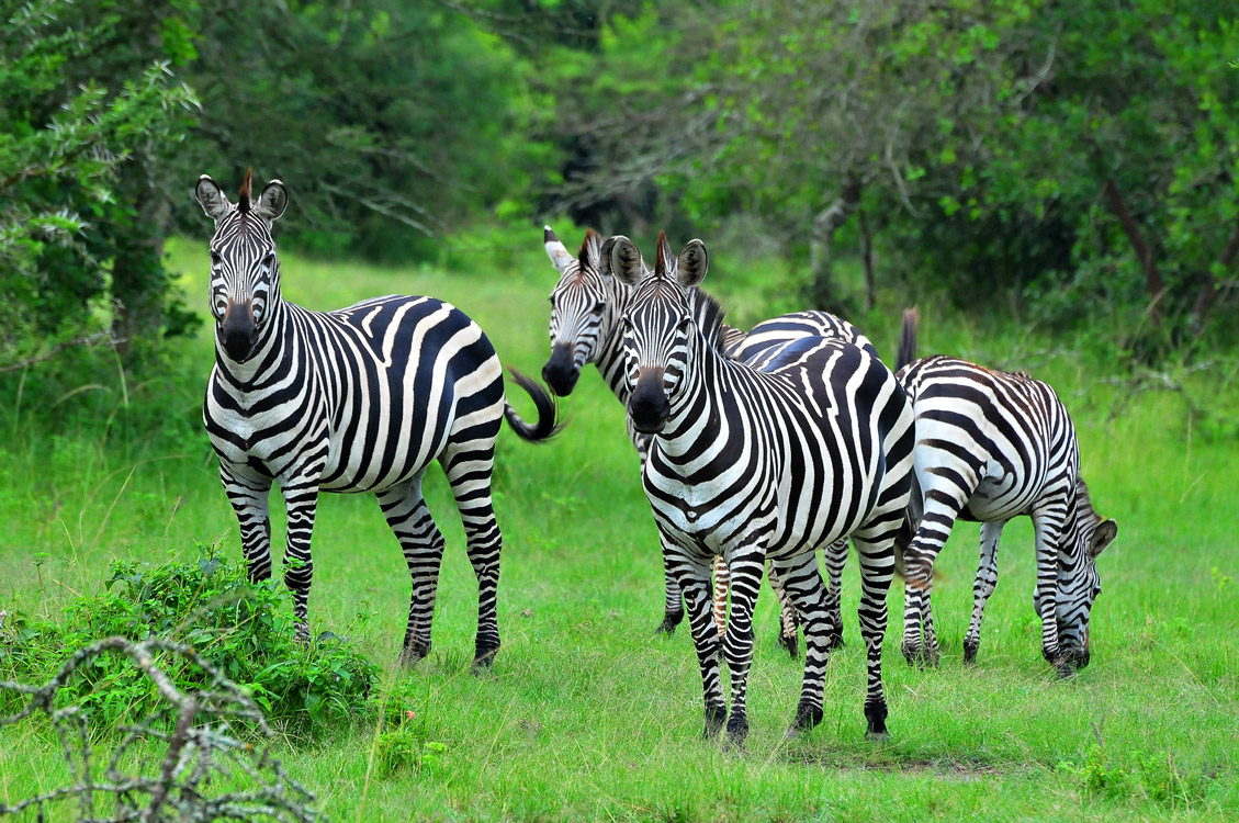 LAKE MBURO NATIONAL PARK