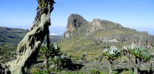 Mtn Elgon-National Parks