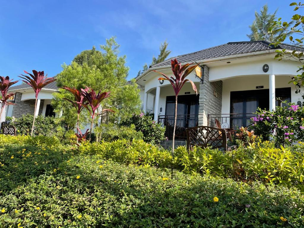 Budget lodges in Kibale National Park.