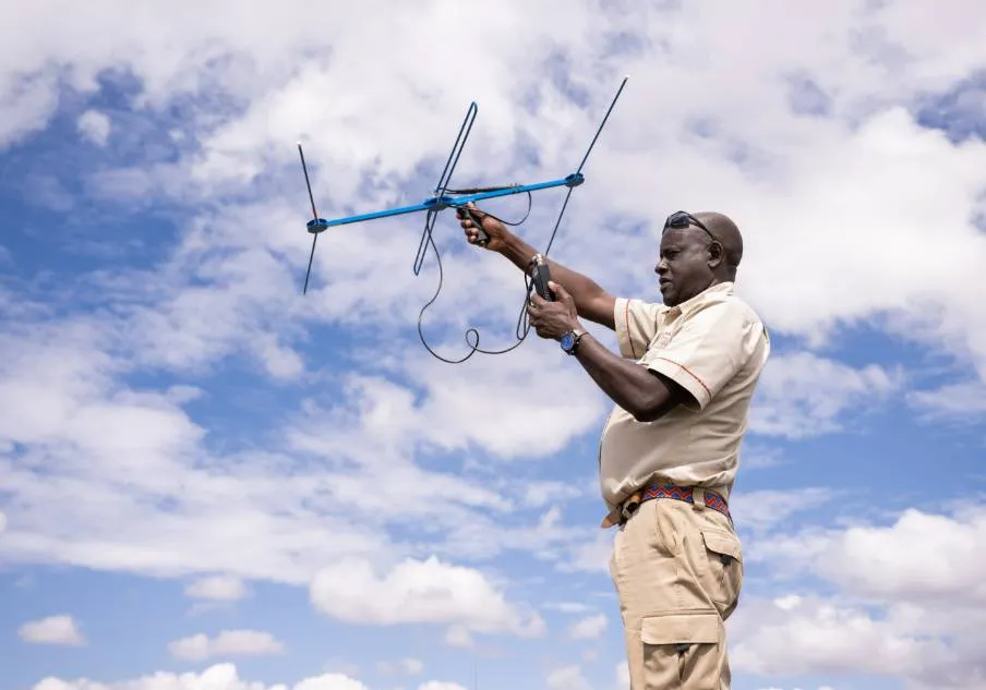 Experiential Lion tracking in Queen Elizabeth National Park.