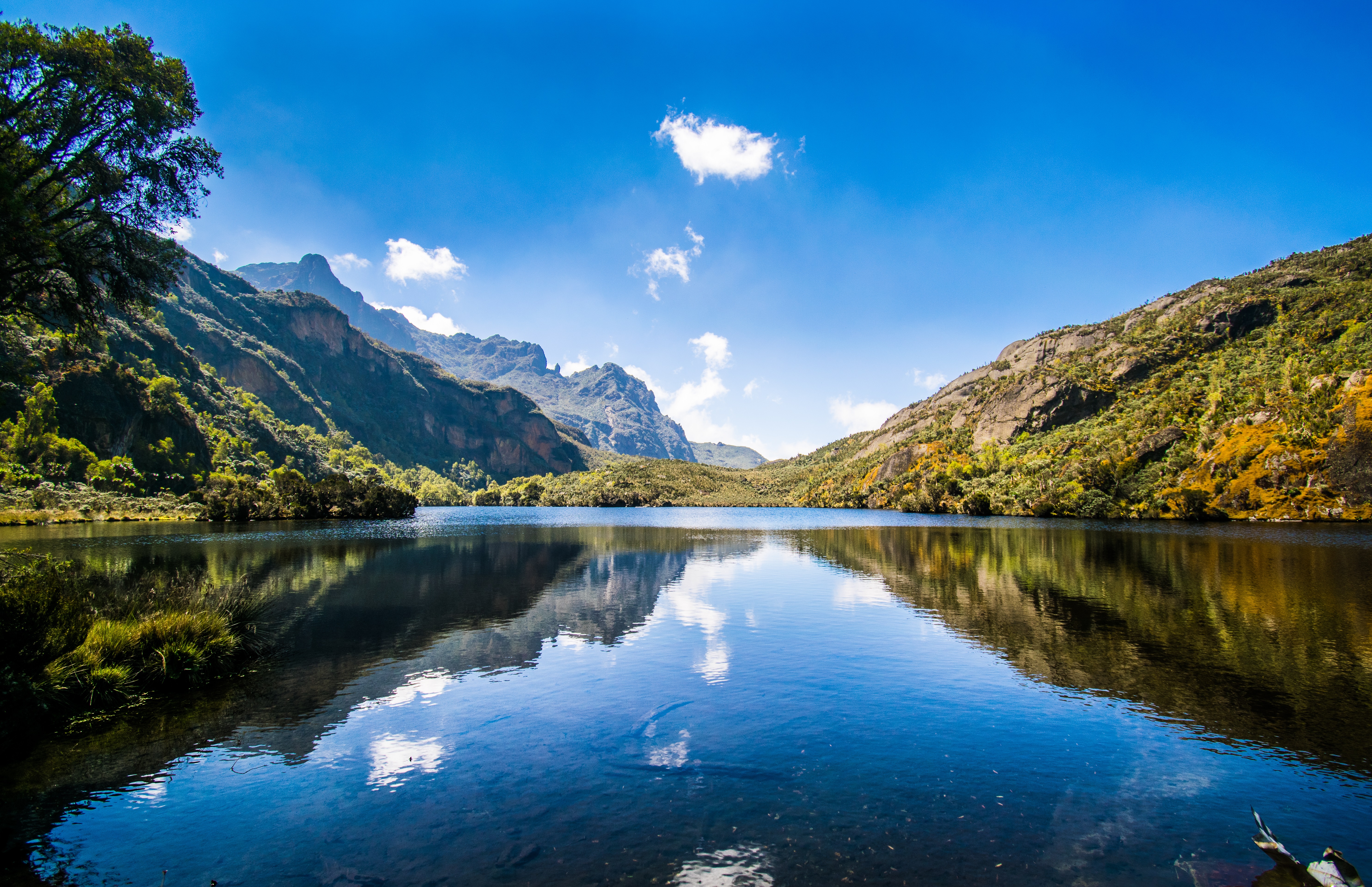 12 Day Rwenzori Mountain Climbing and Wildlife Safari.