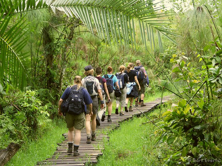 12 Day Rwenzori Mountain Climbing and Wildlife Safari.