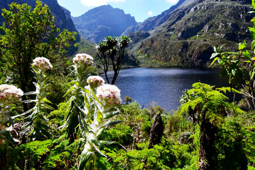 12 Day Rwenzori Mountain Climbing and Wildlife Safari.