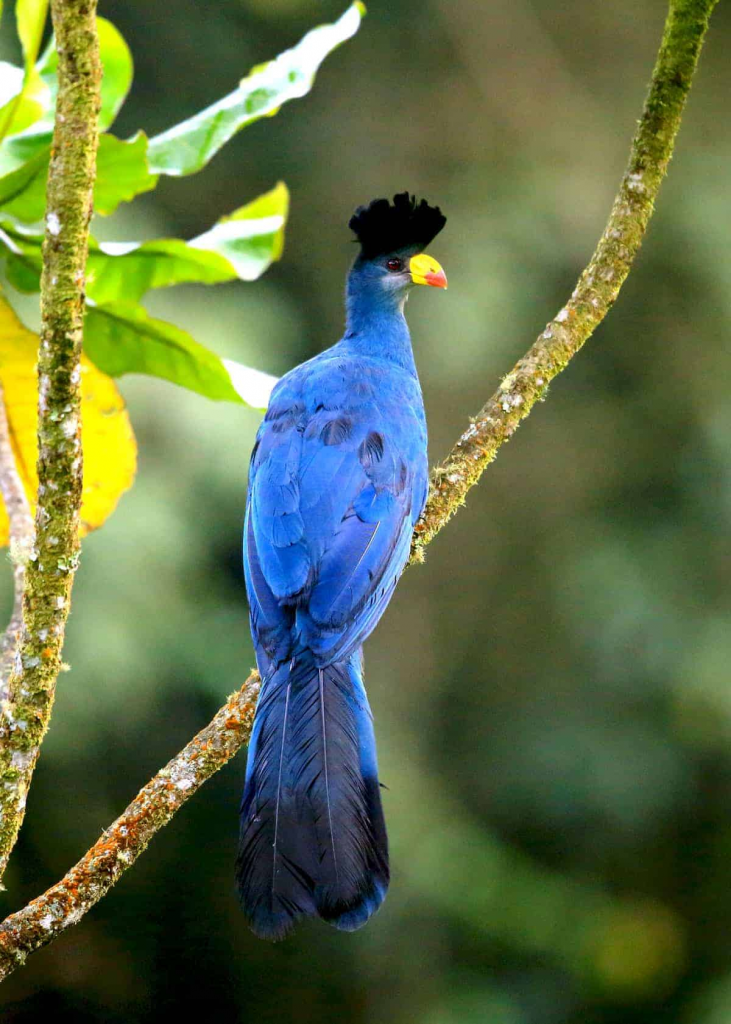 Buhanga Eco-Park.