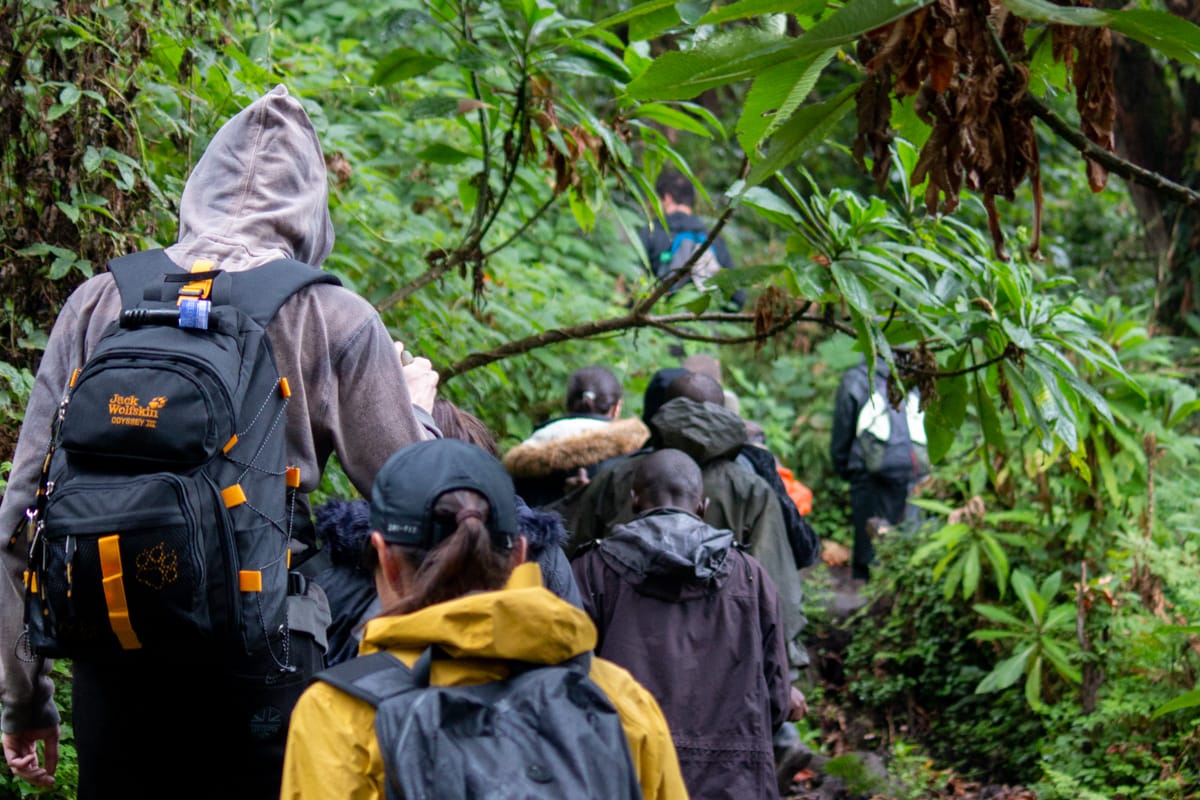 3 Days Rwanda Gorilla and Bisoke Hiking Tour.